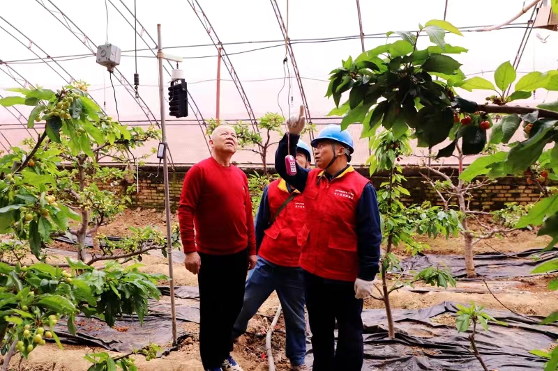 国网渭南供电公司：电力兴农 绘就乡村振兴新画卷_fororder_微信图片_20240314172623