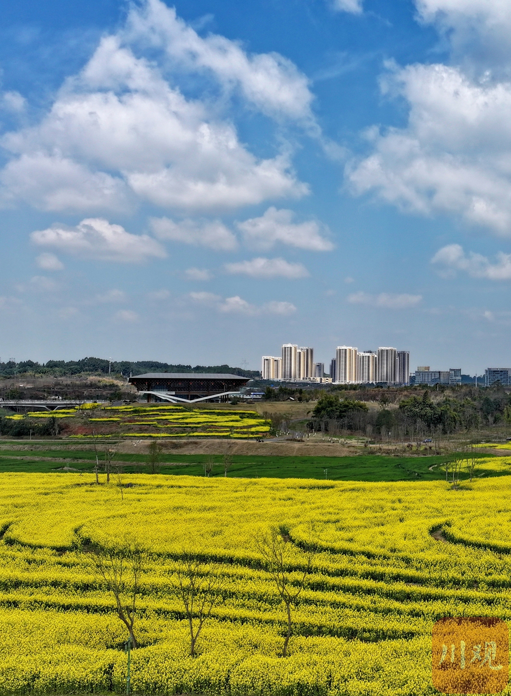 转载 成都 天府新区新地标大雁展翅春色美