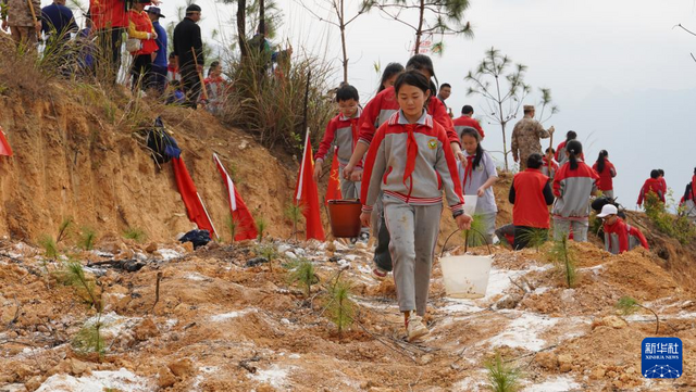 “植”此新绿——多地植树节活动扫描