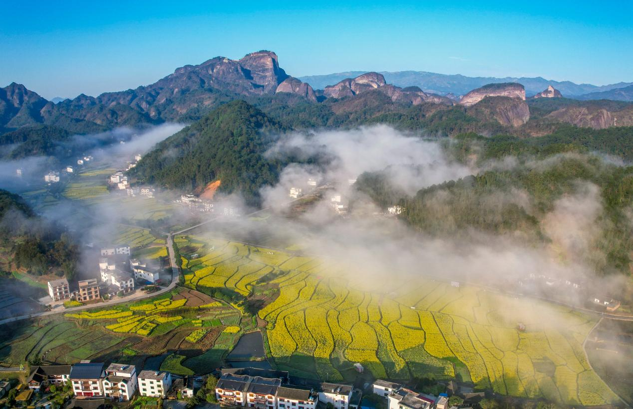 湖南崀山：云雾八角寨 醉美菜花黄_fororder_图片2