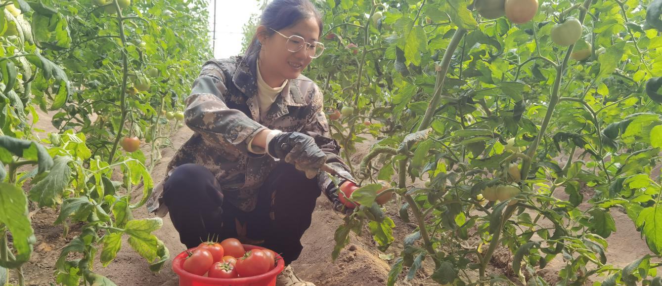 河北海兴：特色农业铺就致富路_fororder_图片 1