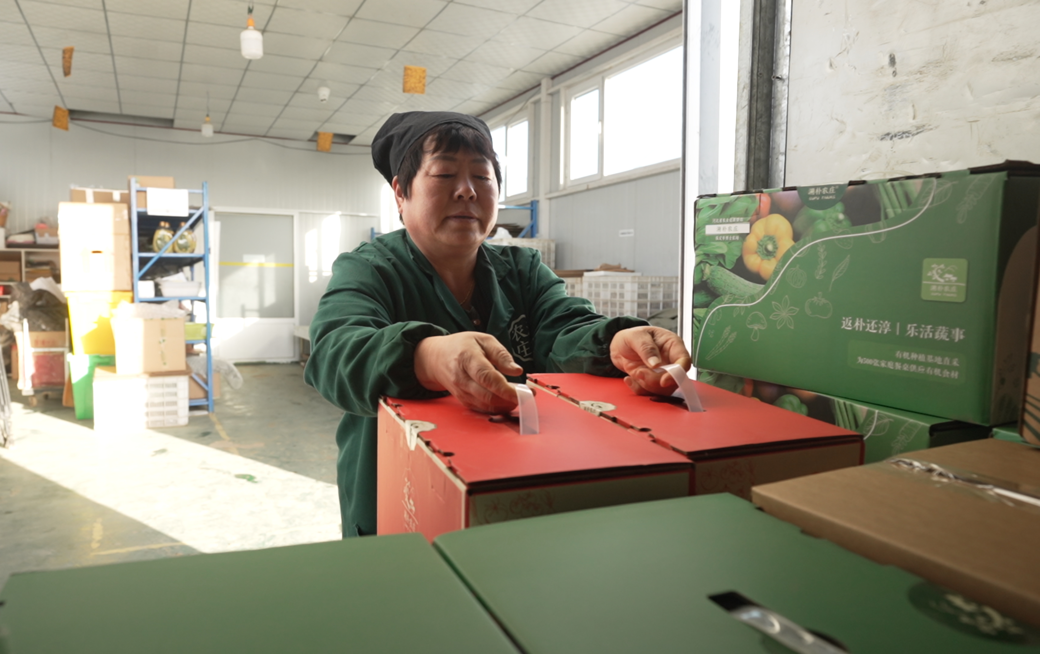 河北定兴：24小时鲜蔬端上北京餐桌_fororder_006