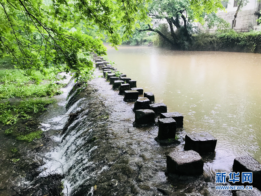 杨柳披绿雨潇潇 半烟半雨看溪桥