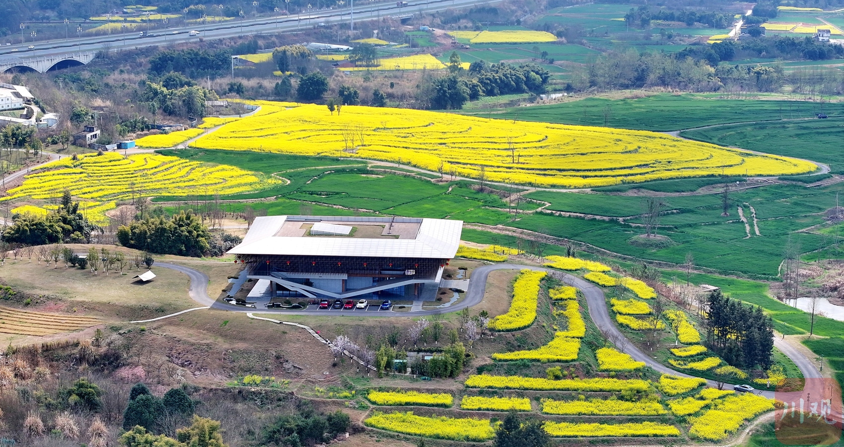 （转载）成都：天府新区新地标“大雁展翅”春色美