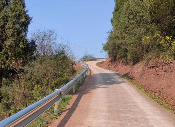 重慶涪陵區新妙鎮：以巡促改見實效 “隱患路”變“放心路”_fororder_微信圖片_20240315105332