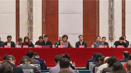 湖北省文聯十一屆二次全委會在武漢召開