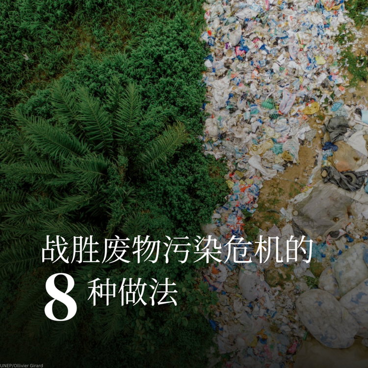 战胜废物污染危机的8种做法_fororder_31
