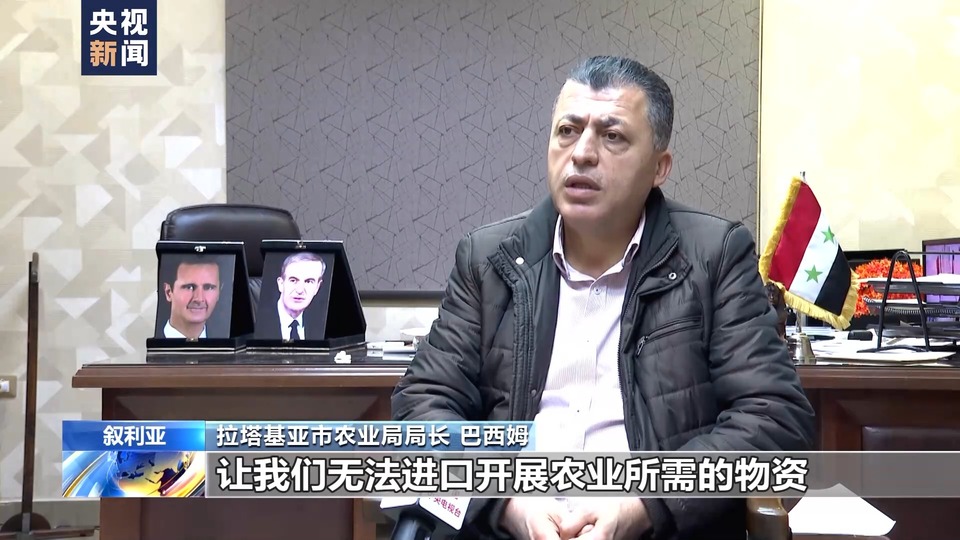 叙利亚危机13周年丨农业受重创 橘园萧条农田荒废