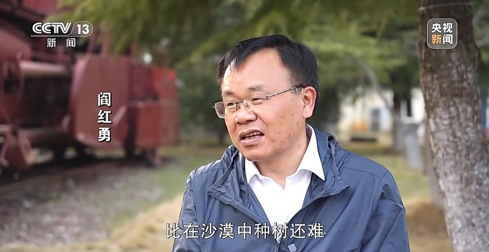 石缝间种树 他让“石海”变“绿洲”-国际在线
