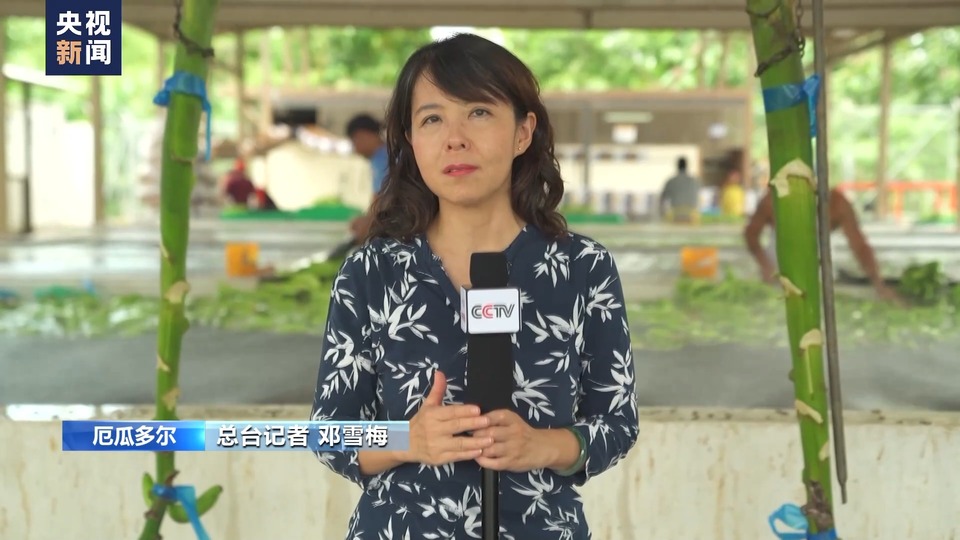 总台记者探访丨厄瓜多尔暴雨成灾 居民生活和农作物生产受影响