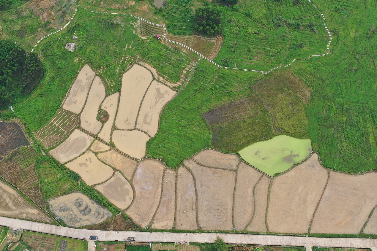 广西昭平：万象“耕”新正当时_fororder_图片1