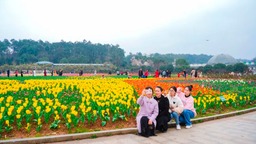 湖南世界名花生态文化节开幕，樱花盛放吸引众多游客