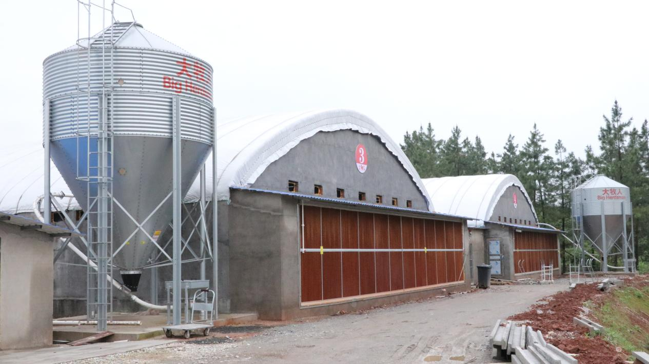 湖南衡山縣籠養雞項目成為村集體經濟發展新“雞”遇_fororder_圖片3