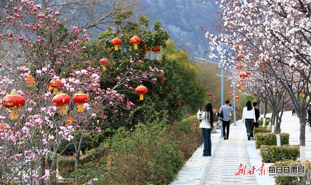 武都東江公園玉蘭盛放花影婆娑_fororder_5