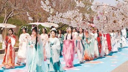 第十六屆大連（旅順）國際櫻花節啟幕
