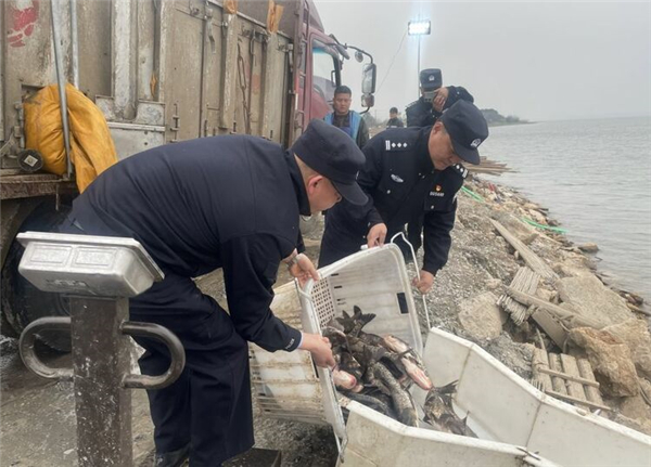 湖北:河湖警長護漁忙 魚兒戲水競相歡_fororder_01