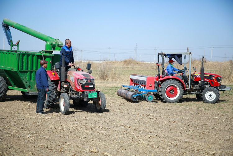 河北黄骅：旱碱麦田管护忙_fororder_图片2