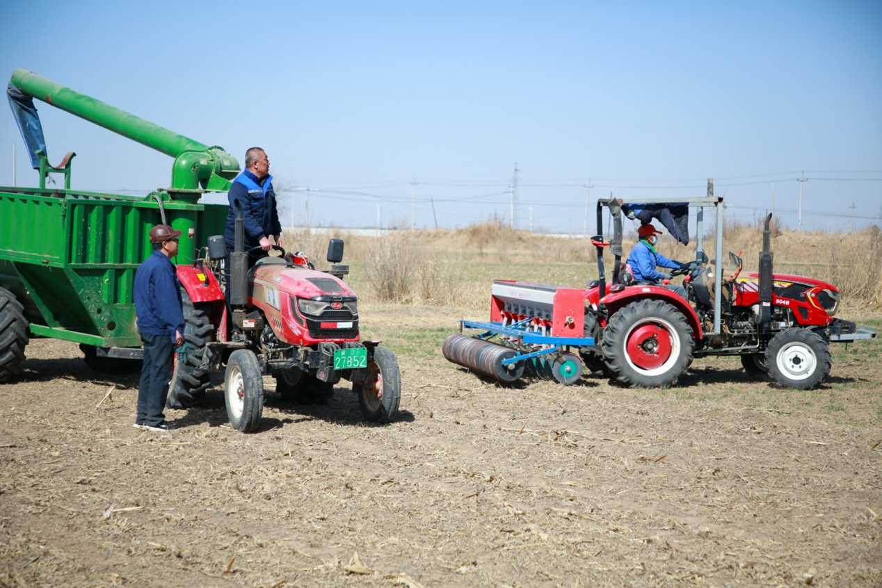 河北黄骅：旱碱麦田管护忙_fororder_图片2