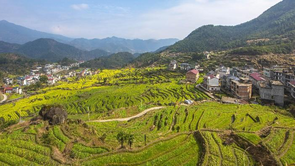  Shangrao, Jiangxi: Visit Wangxian Valley and enjoy the spring scenery of Ge Road