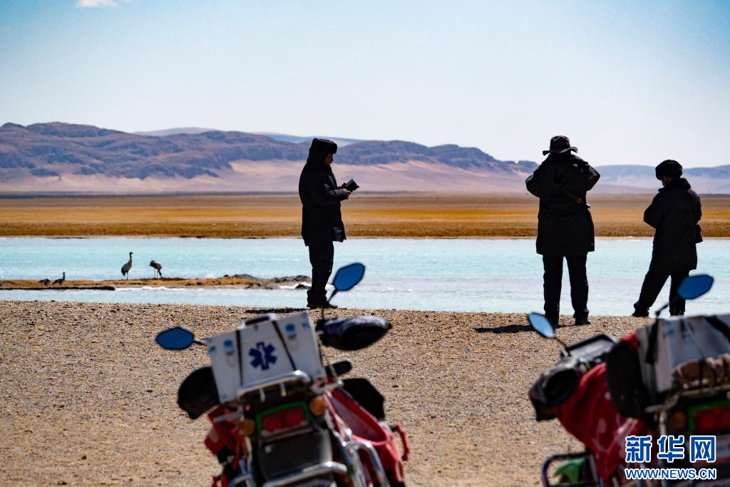 走近高原"精灵"的守护者