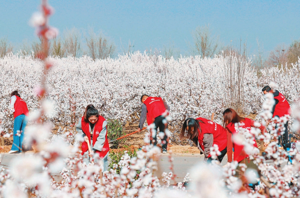 图片默认标题_fororder_085630e04ae6e3333c95a7c2064f5e62