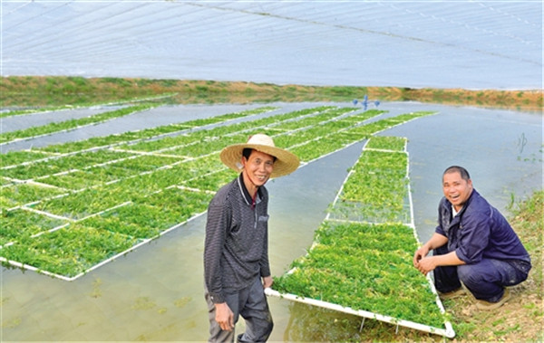 立下愚公移山志　打好脱贫攻坚战