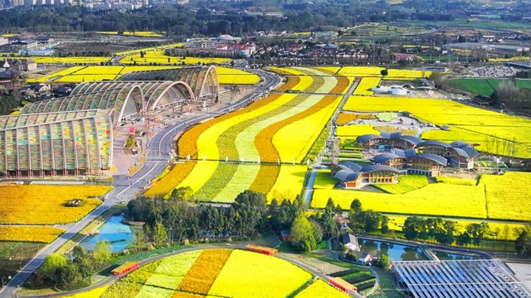 四川新津旅游景点大全图片