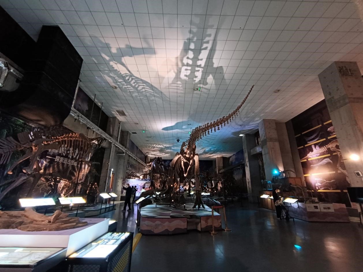 图片默认标题_fororder_1