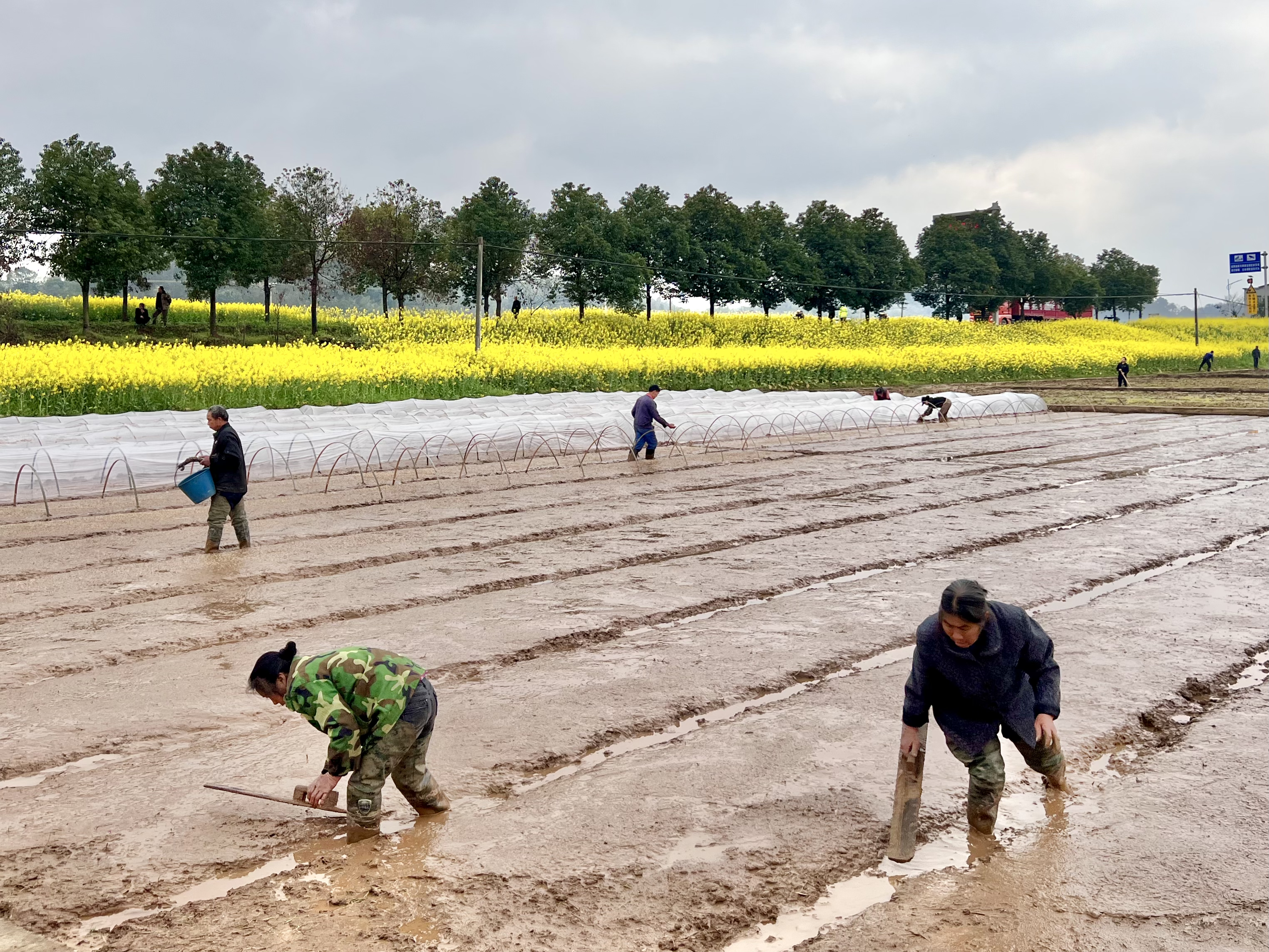 湖南衡南：春分时节春耕备耕忙_fororder_图片3
