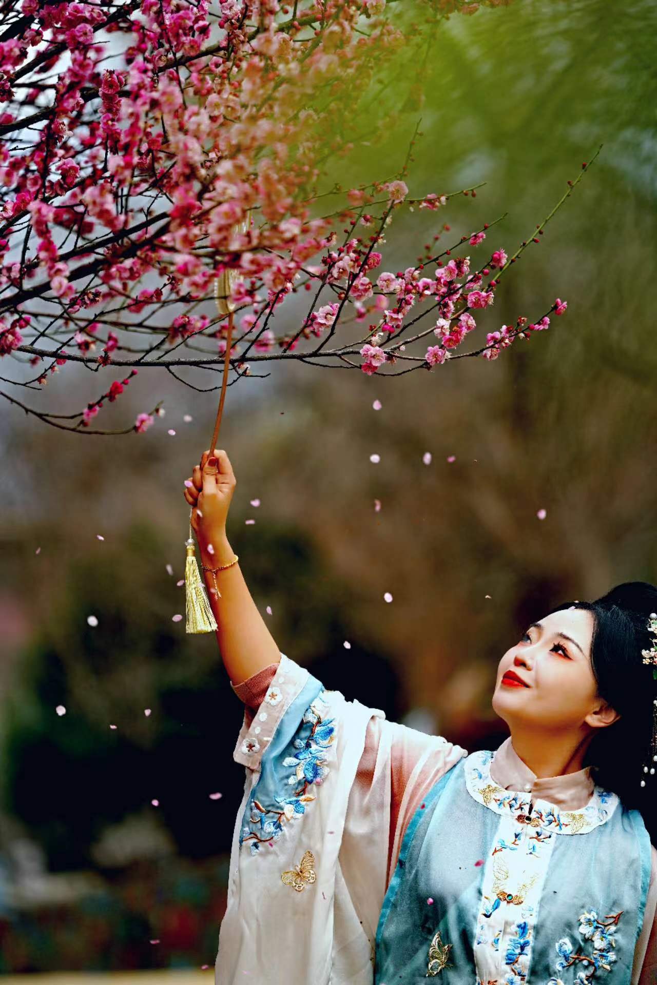 【镜观陕西·第9期】西安市鄠邑区：阿姑泉牡丹苑百亩梅花陆续绽放_fororder_微信图片_20240321161644