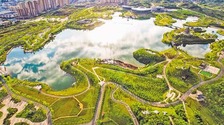 重庆垫江： 湿地公园秀美如画