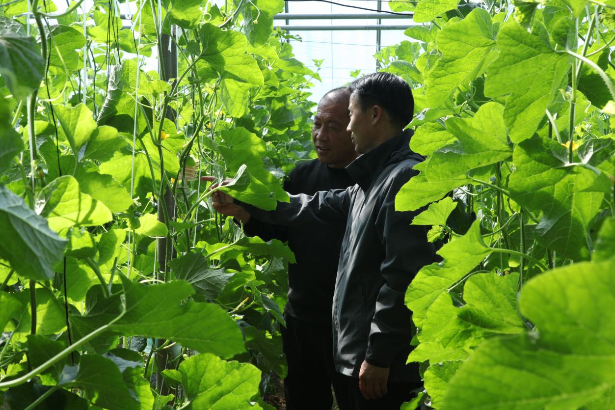 河北青县：气象科普进村入校 提升公众科学认知_fororder_图片 4