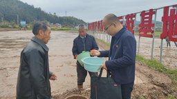 江西崇仁六家橋鄉人大：助力早稻生産 保障糧食安全