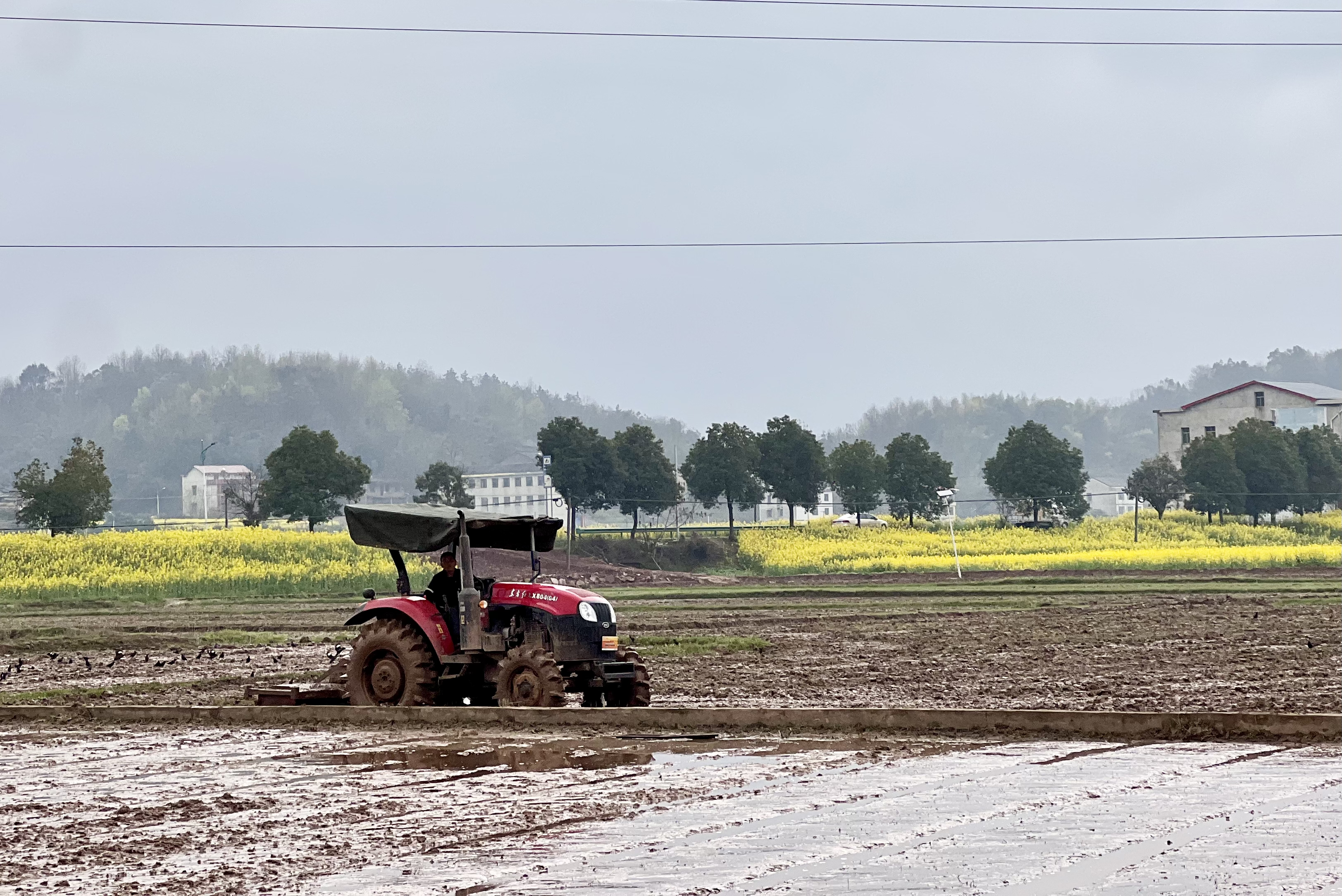湖南衡南：春分时节春耕备耕忙_fororder_图片1