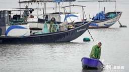 浙江八大水系全面进入禁渔期 统一禁渔实施两年来成效显著，“水老虎”鳡鱼回归