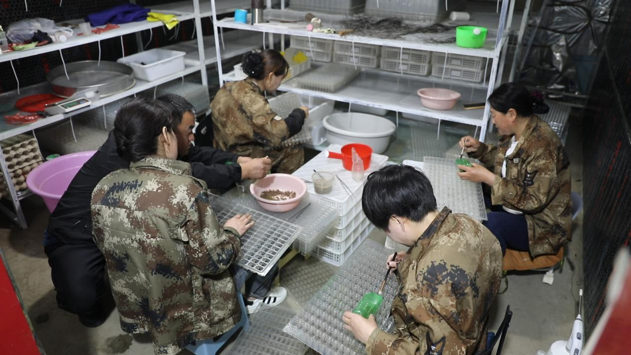 河北平泉：蝎子养殖“趟”出致富新路子_fororder_图片 4