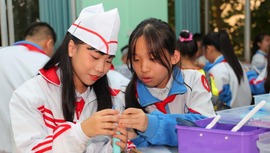 越南青少年學生到廣西防城港東興進行研學活動