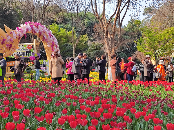 花会现场 供图 成都市青羊区委宣传部