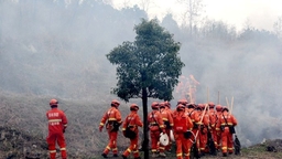 贵州修文开展2024年森林防灭火应急演练