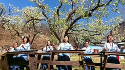 河北承德县：春到燕山景如画 丰富消费新场景