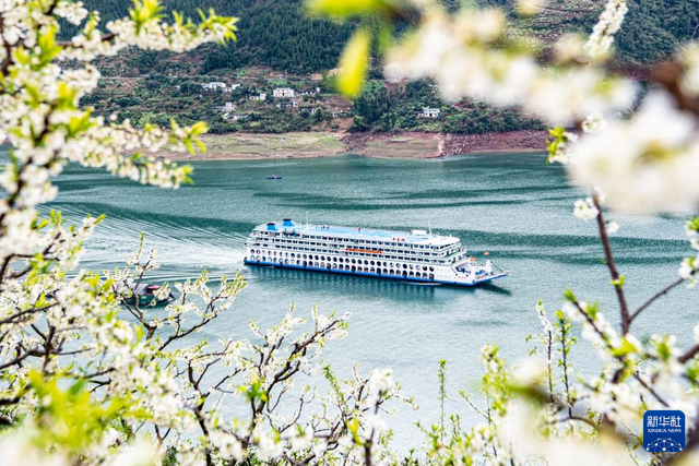 重庆巫山：一江碧水满山“雪”