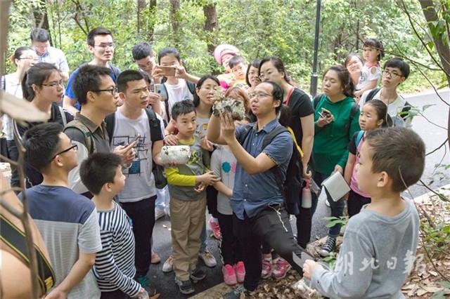 华农举行蘑菇科技文化节