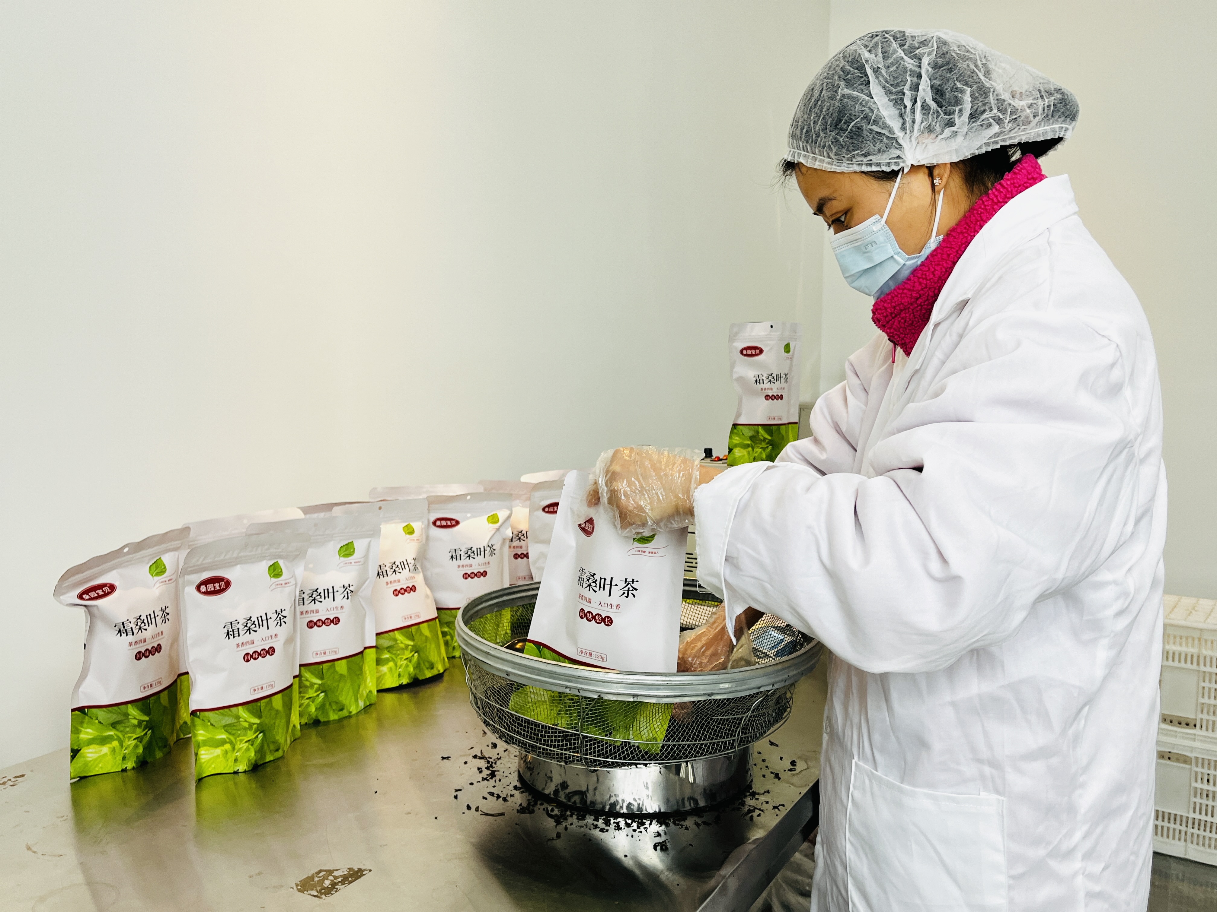 河北涞水：打造桑葚产业链 农旅融合促发展_fororder_图为工人正在包装桑叶茶。徐梓钰 摄