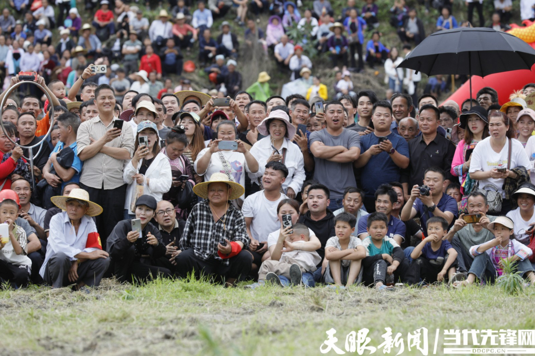 黎平“摔跤节：节日里盛开的民族团结之花