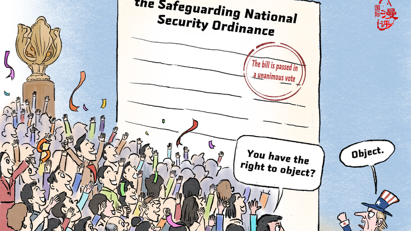 【Editorial Cartoon】You have the right to object?