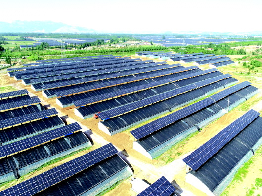 新能源“成绩单”见证齐鲁大地绿色蝶变