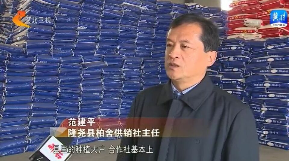 隆尧县柏舍供销社主任  范建平:县里的种植大户,合作社基本上都是到