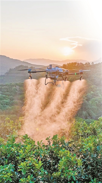 武鳴農業無人機應用領跑廣西 飛出産業振興“新高度”