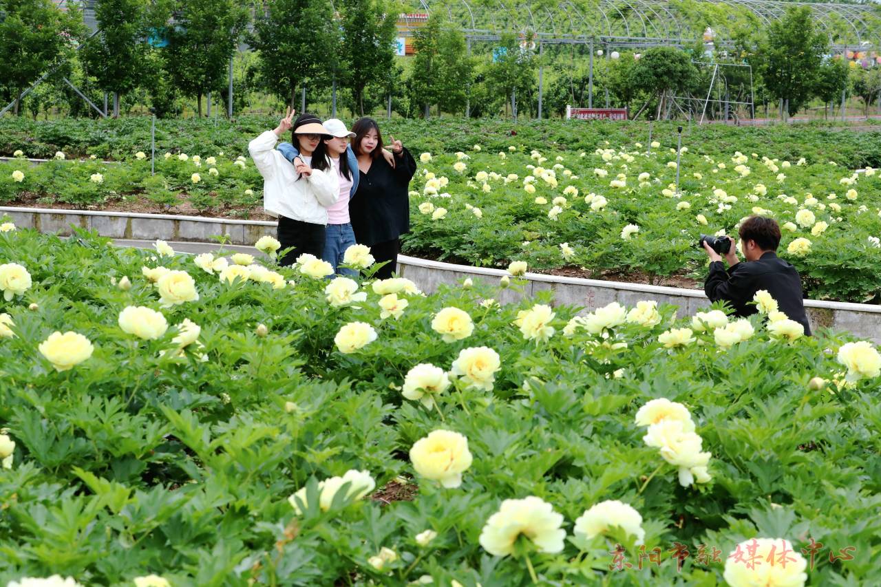 浙江东阳：浪漫花海引客赏_fororder_1714119614617_662b63be233d093b9d00180a