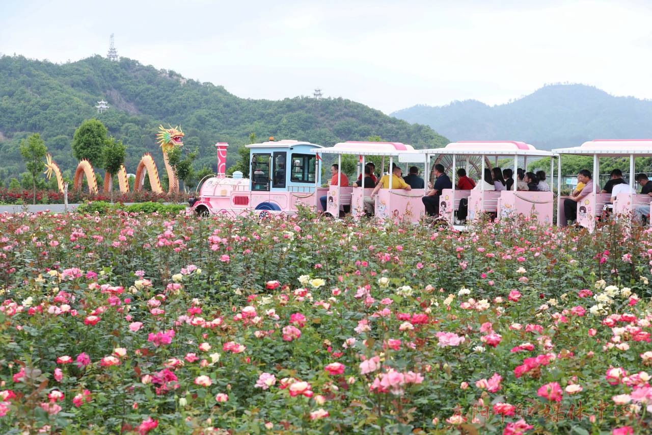 浙江东阳：浪漫花海引客赏_fororder_1714119612205_662b63bc233d093b9d001806